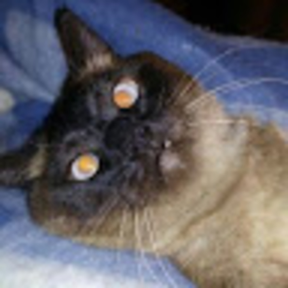 Meet your Posher, Aj